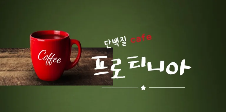 벨라보르사&프로티니아