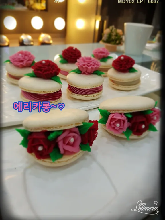 에리카롱