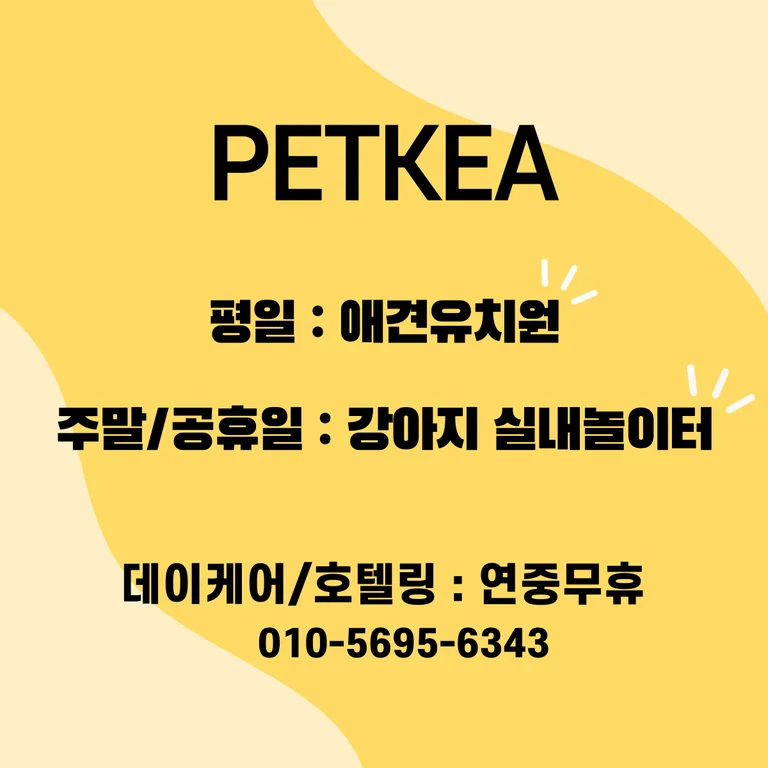 펫케아
