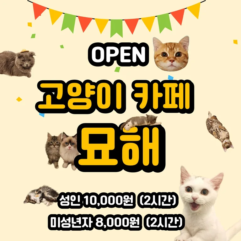 묘해