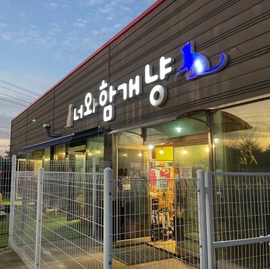 너와함개냥