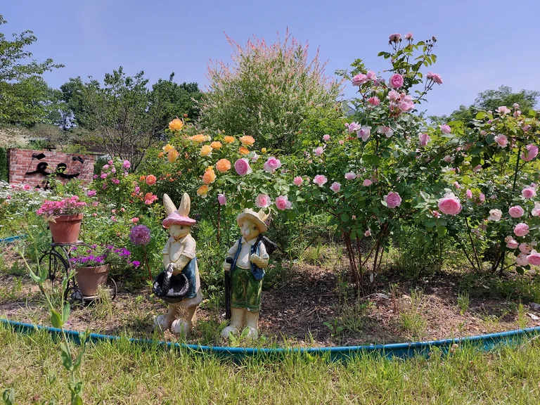 소소정원