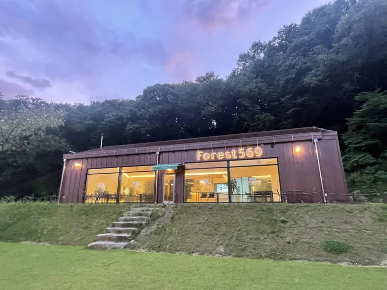 포레스트569