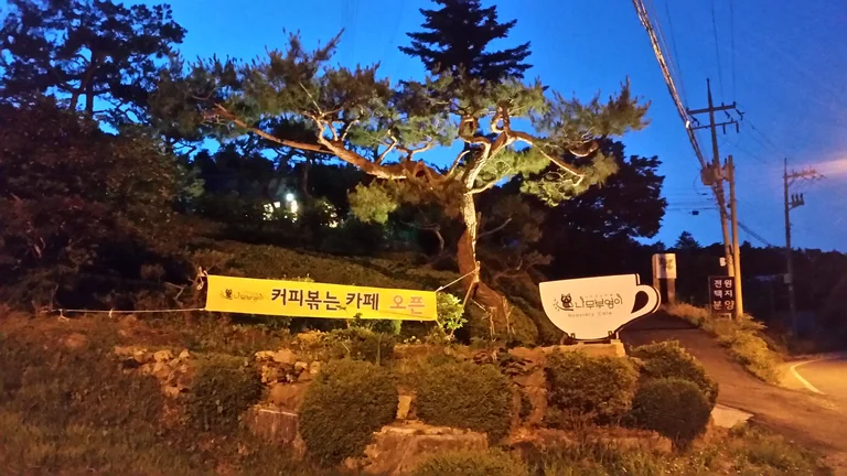 나무부엉이
