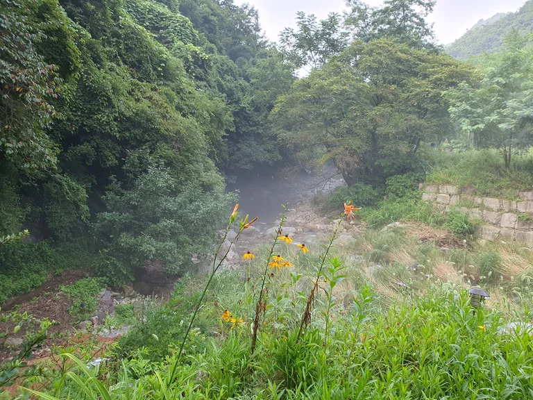 카페솔라나
