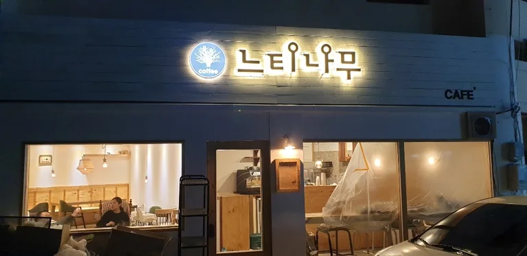 느티나무