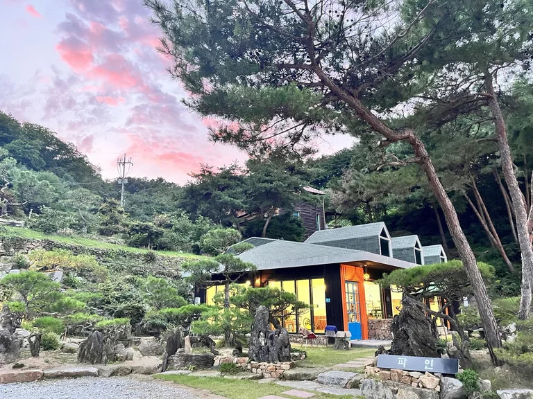 파인