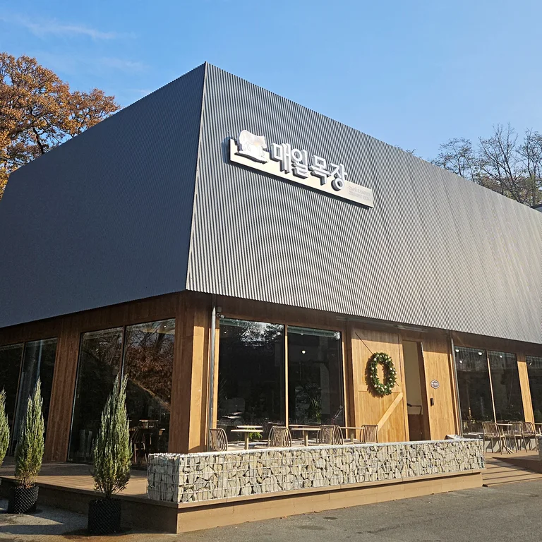 카페 매일목장