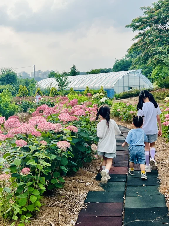 원주관광농원커피앤허브빌리지