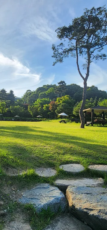 카페능소화