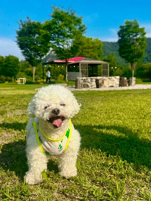 뛰어멍