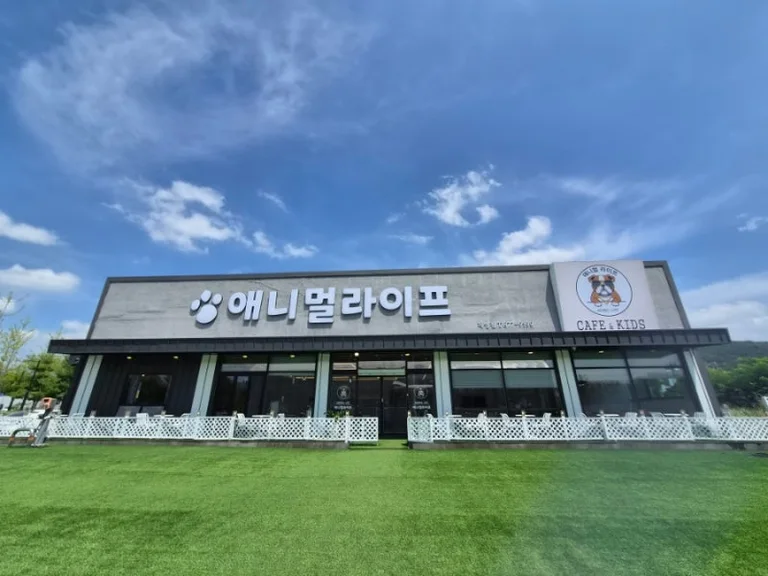 애니멀라이프