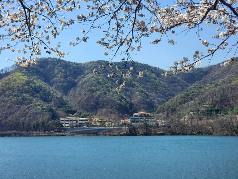 스완 카페 베이커리