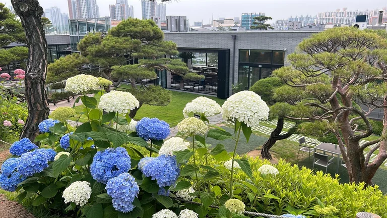베이커리카페 공간