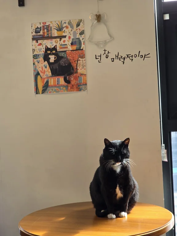 카페사이