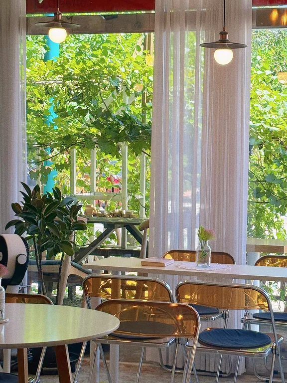 커피디오