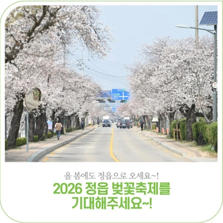 백억커피 정읍점