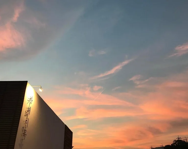 카페이목