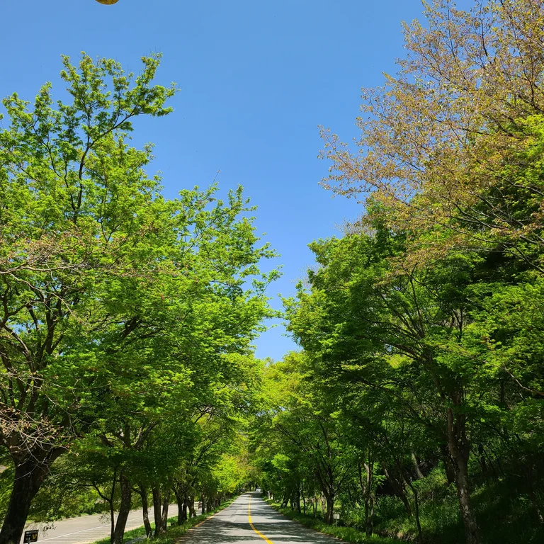 카페 소홍