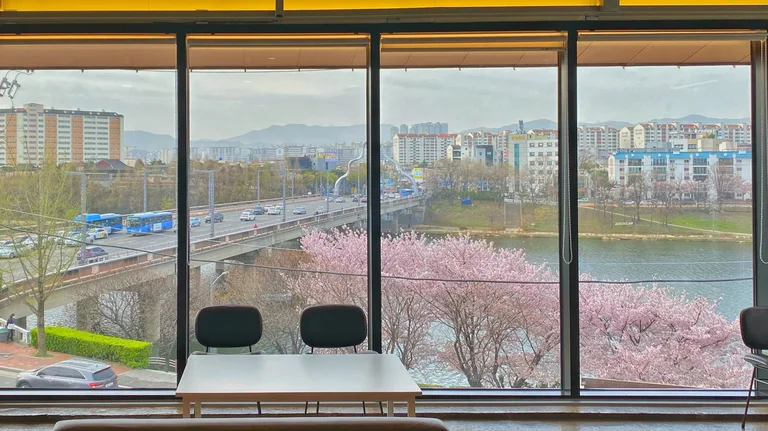 마고플레인아양
