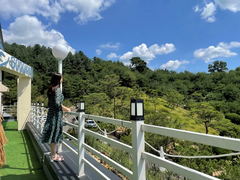 소나무카페
