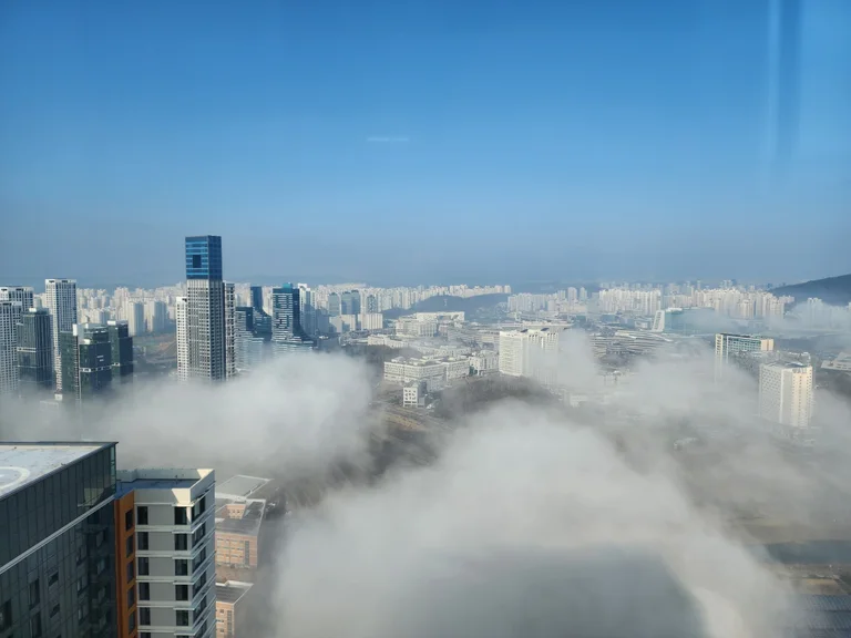 플레져