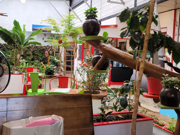 비밀의정원