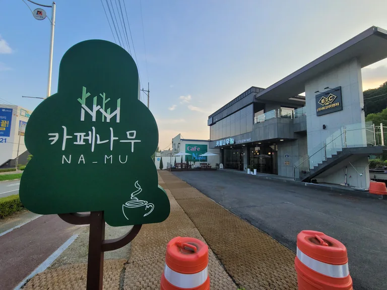 카페나무