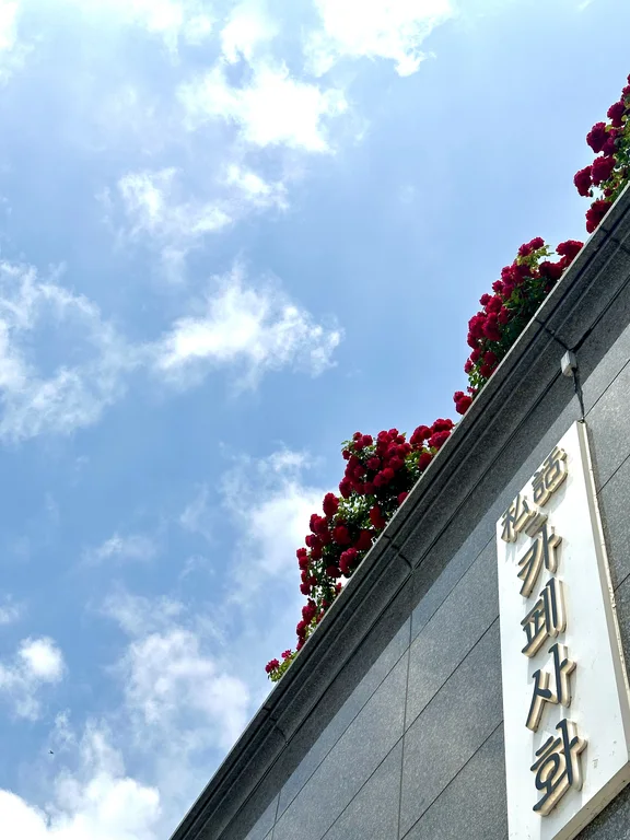 카페사화