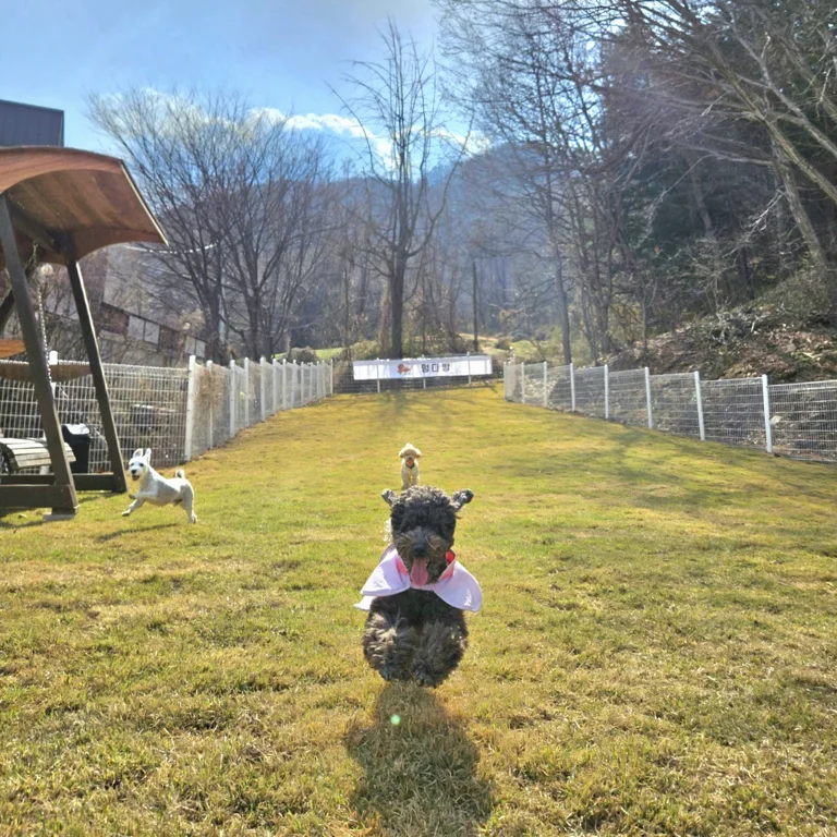 멍다방