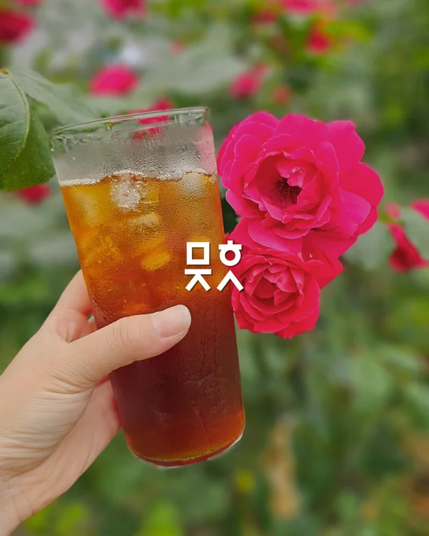 문화지소곡성