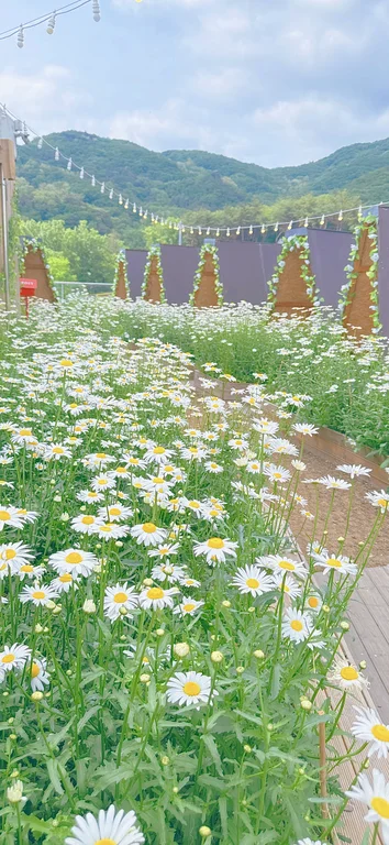 시유당