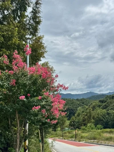 한스커피