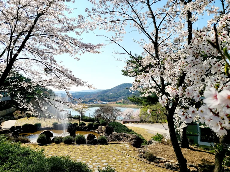 백아