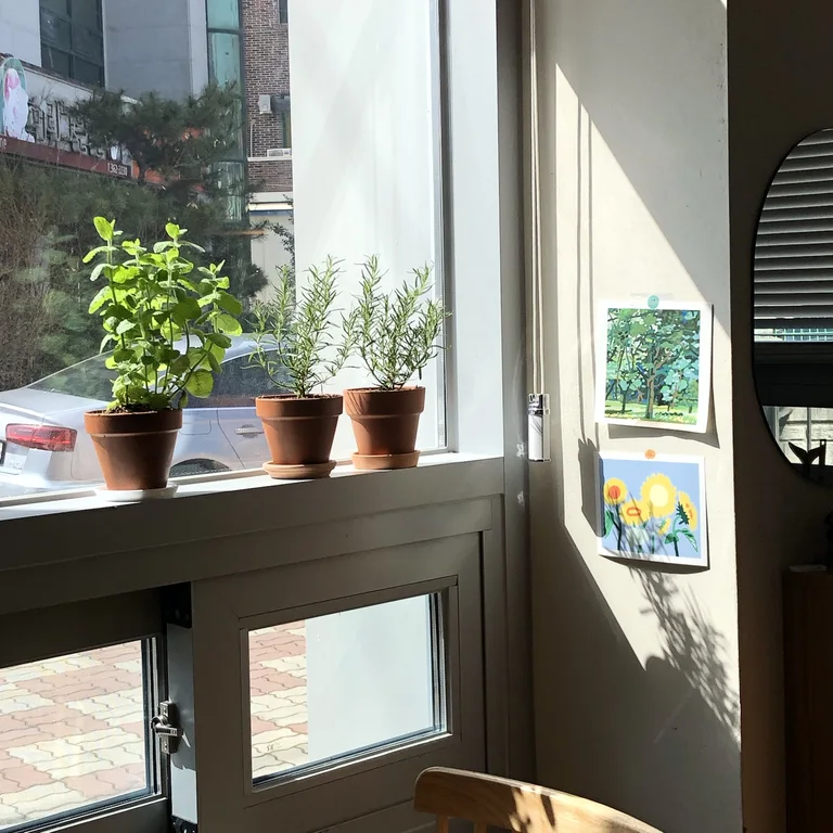 CAFE 다얼