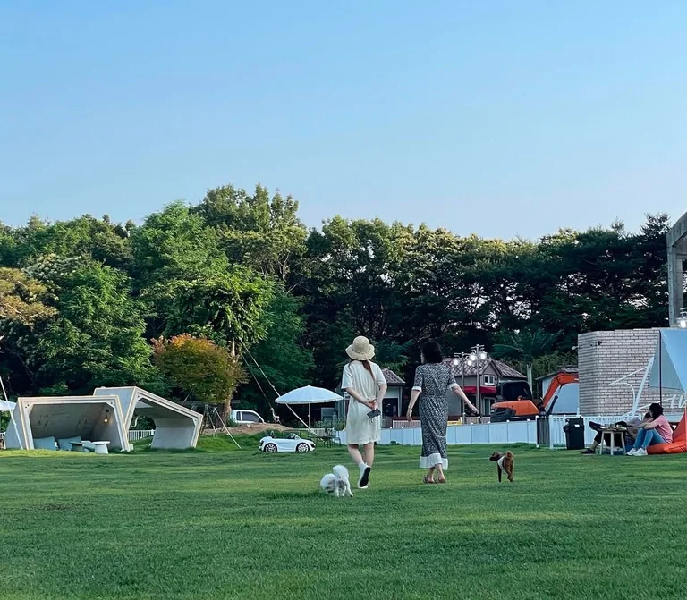 파인드업 담양