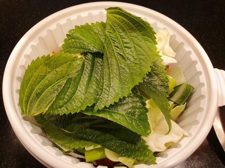 리틀엔젤키즈카페