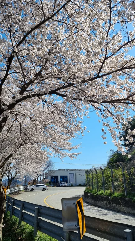 미스티