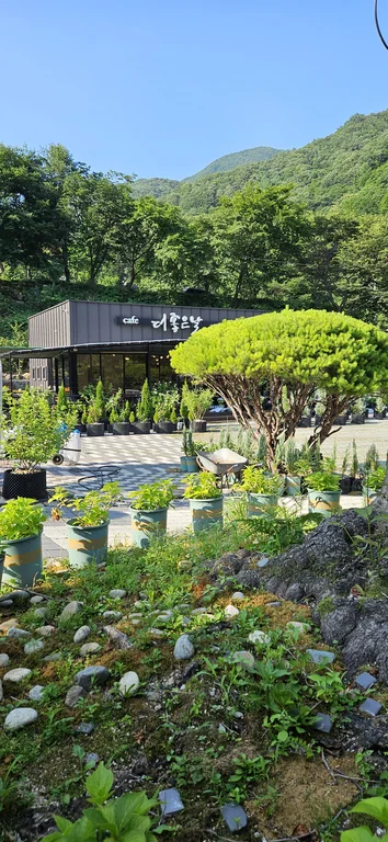 더좋은날