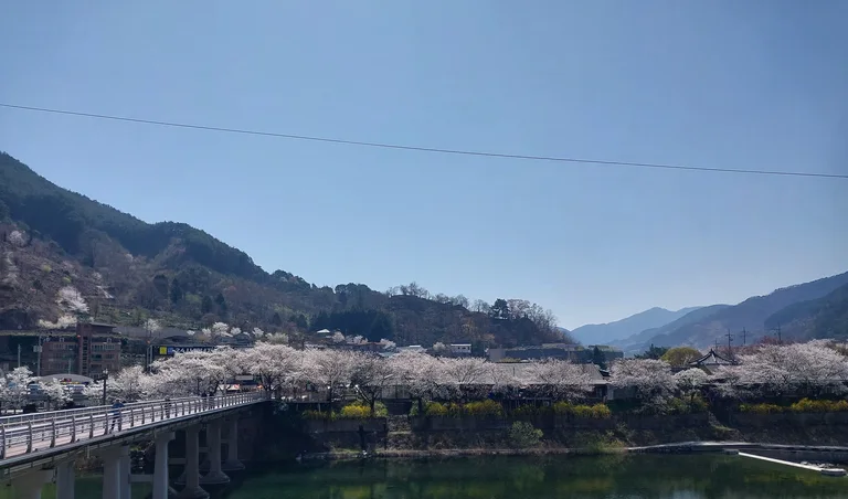 산과물