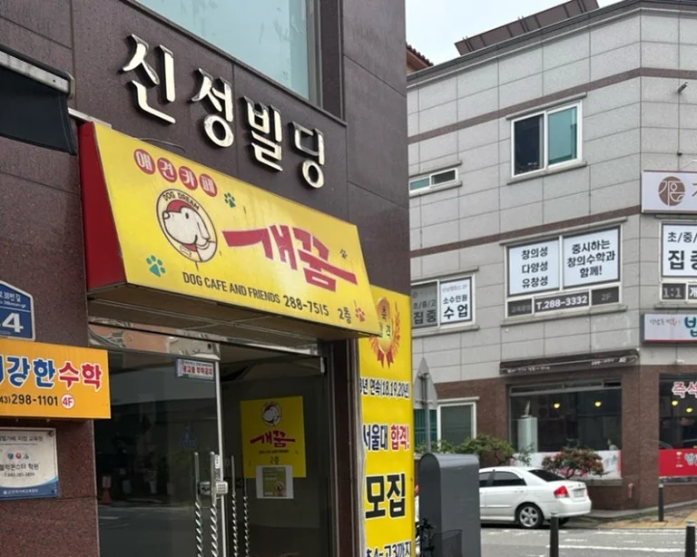 애견카페 개꿈