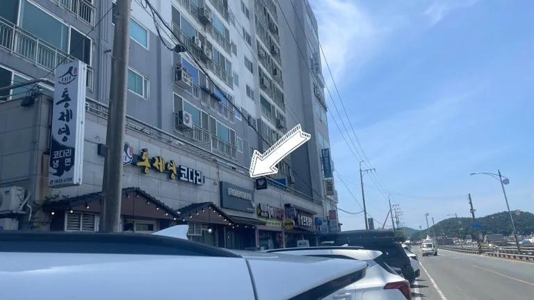 플로라