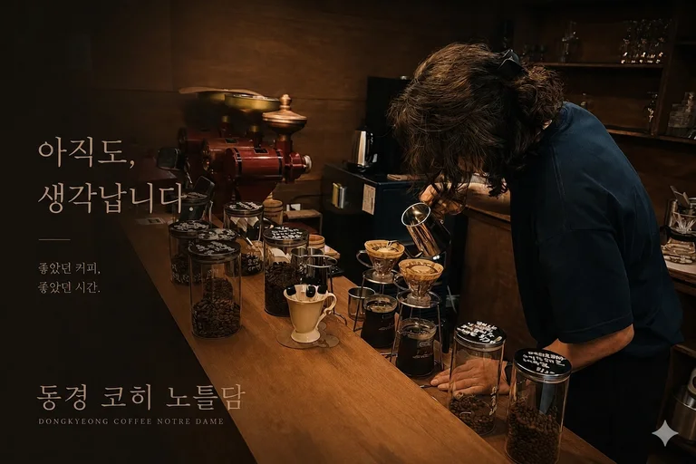 동경코히 노틀담