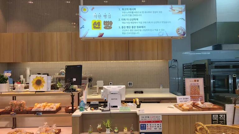 선빵
