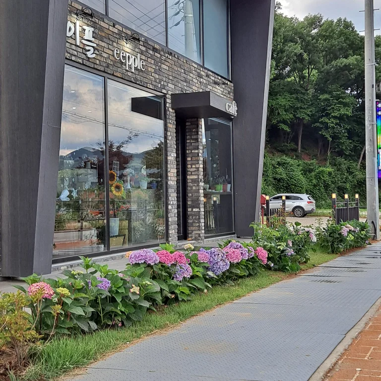 이플카페