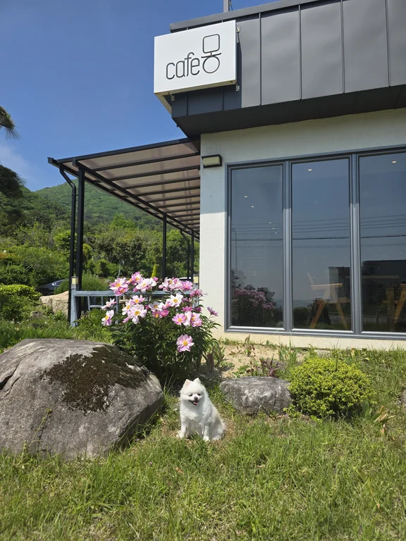 카페몽