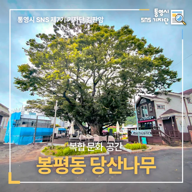 티에스바리스타2호점당산나무