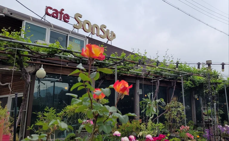 손수 카페