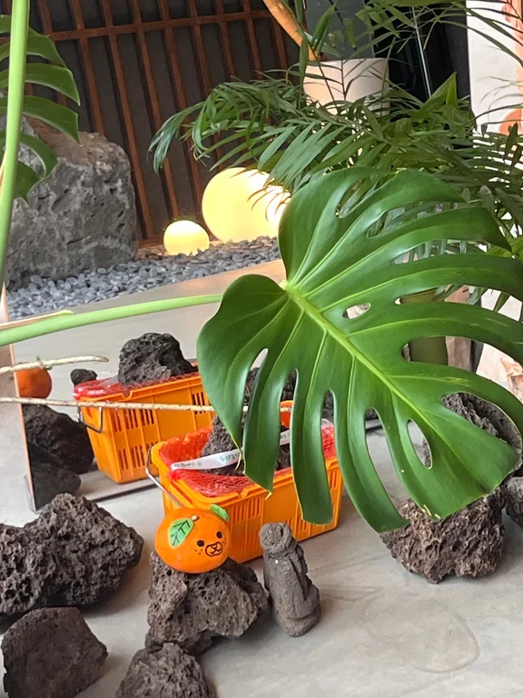 카페 몰릭