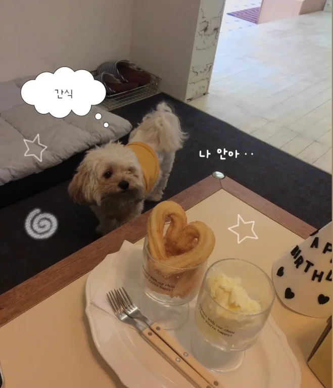 아워츄